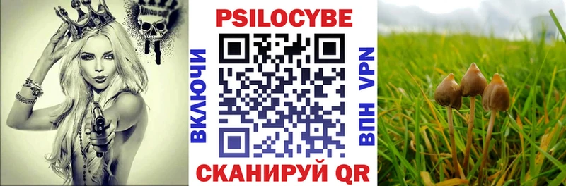 дарнет шоп  Томилино  Псилоцибиновые грибы прущие грибы 